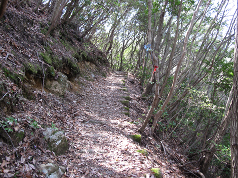 20140419hike (71)